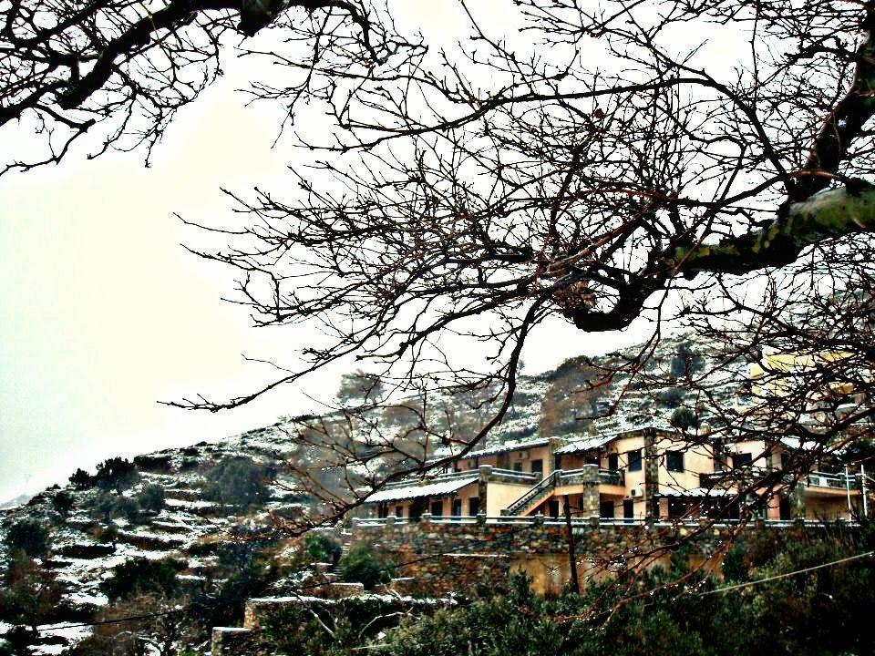Makronas Apartments การิสโตส ภายนอก รูปภาพ